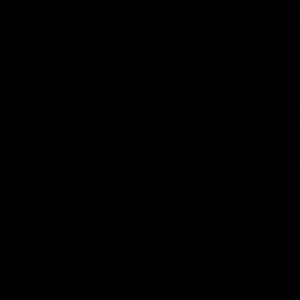 Meet your Posher, Deidra